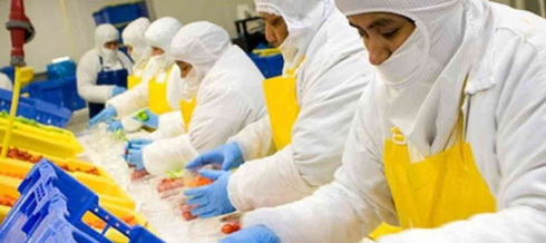 Imagen del curso ideal